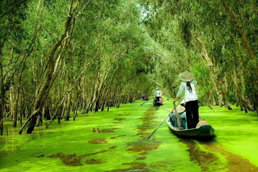 Top 5 Des Activités Au Delta Du Mékong, Région Extrêmement Fertile