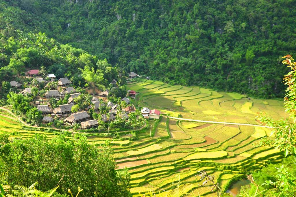 Top 5 des activités à Pu Luong, réserve naturelle, must à découvrir