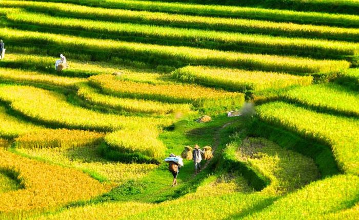 Vietnam family tour 18 days