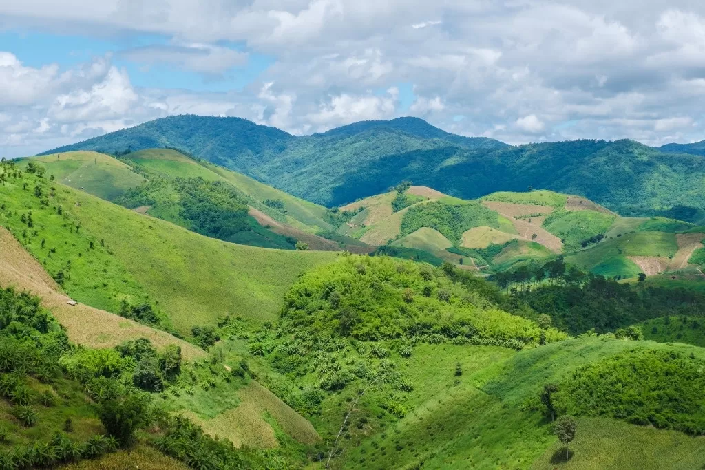 1 Week in Northern Thailand