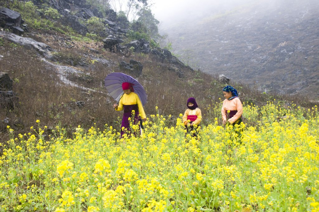 Ethnic Minorities in a Grand Format