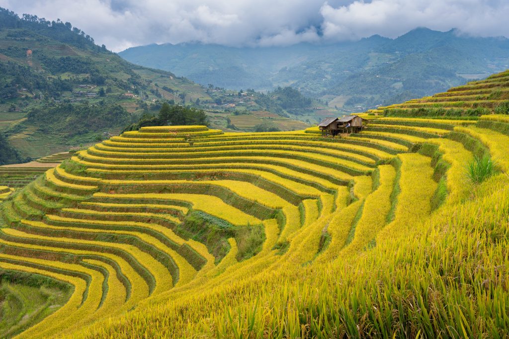 Circuit Vietnam du nord 16 Jours