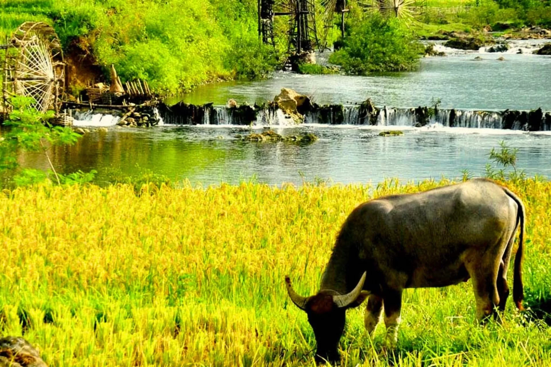 Circuit Vietnam du Nord 10 jours