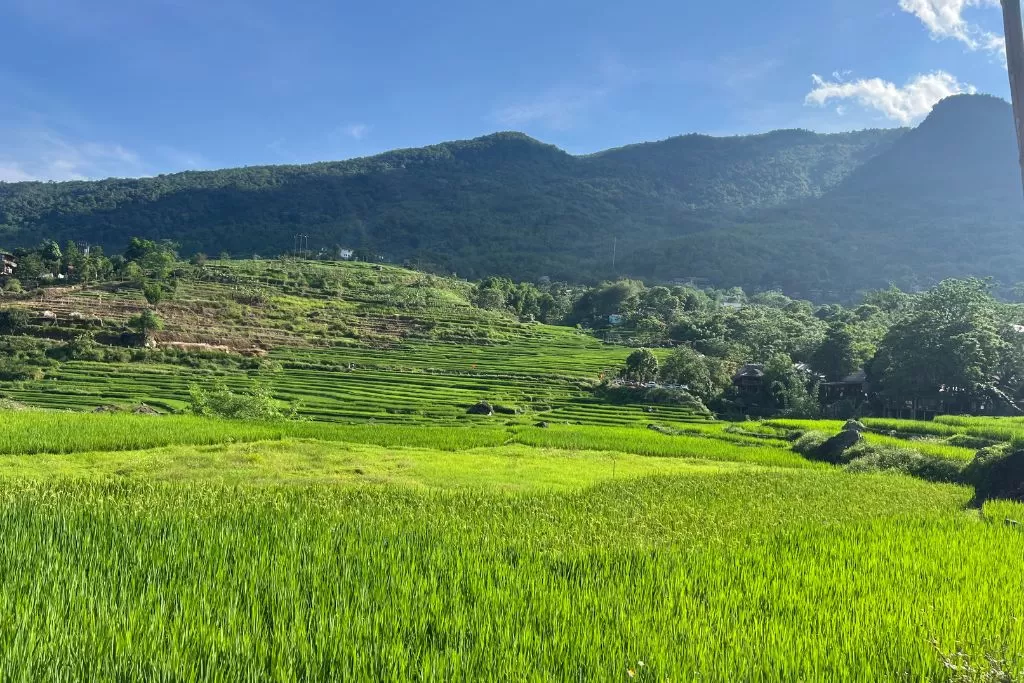 Escapade paisible au cœur du Tonkin