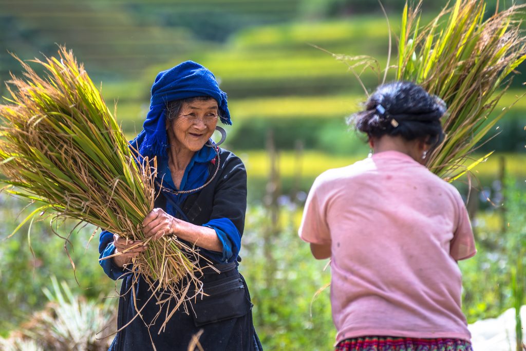 Saveurs du Vietnam Cambodge entre Luxe et Charme