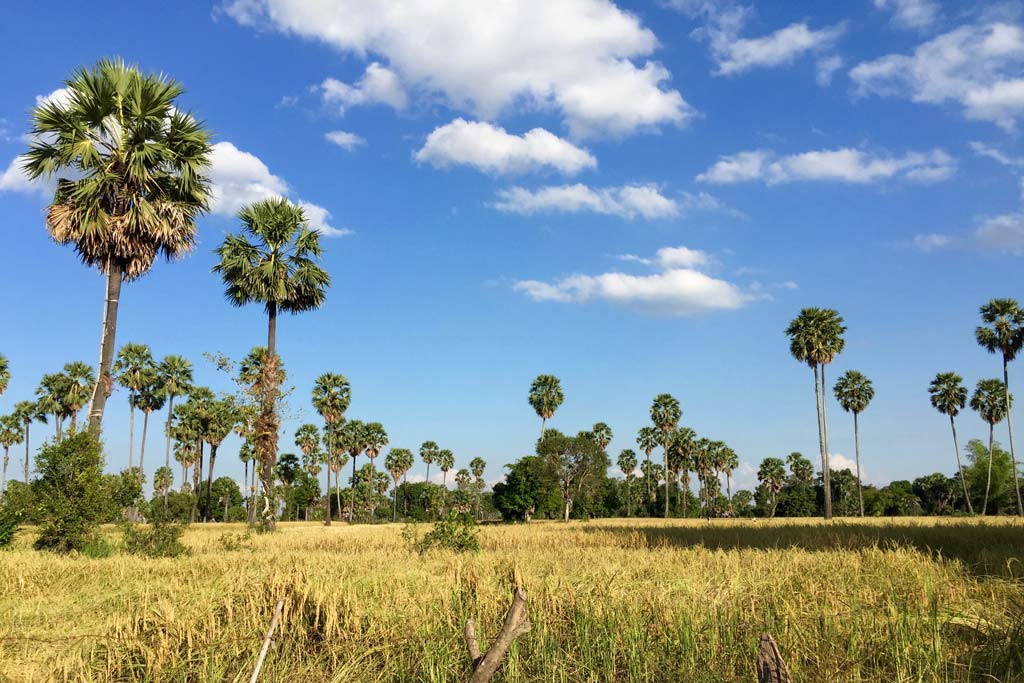 Province de Kampong Chhnang - Cambodge