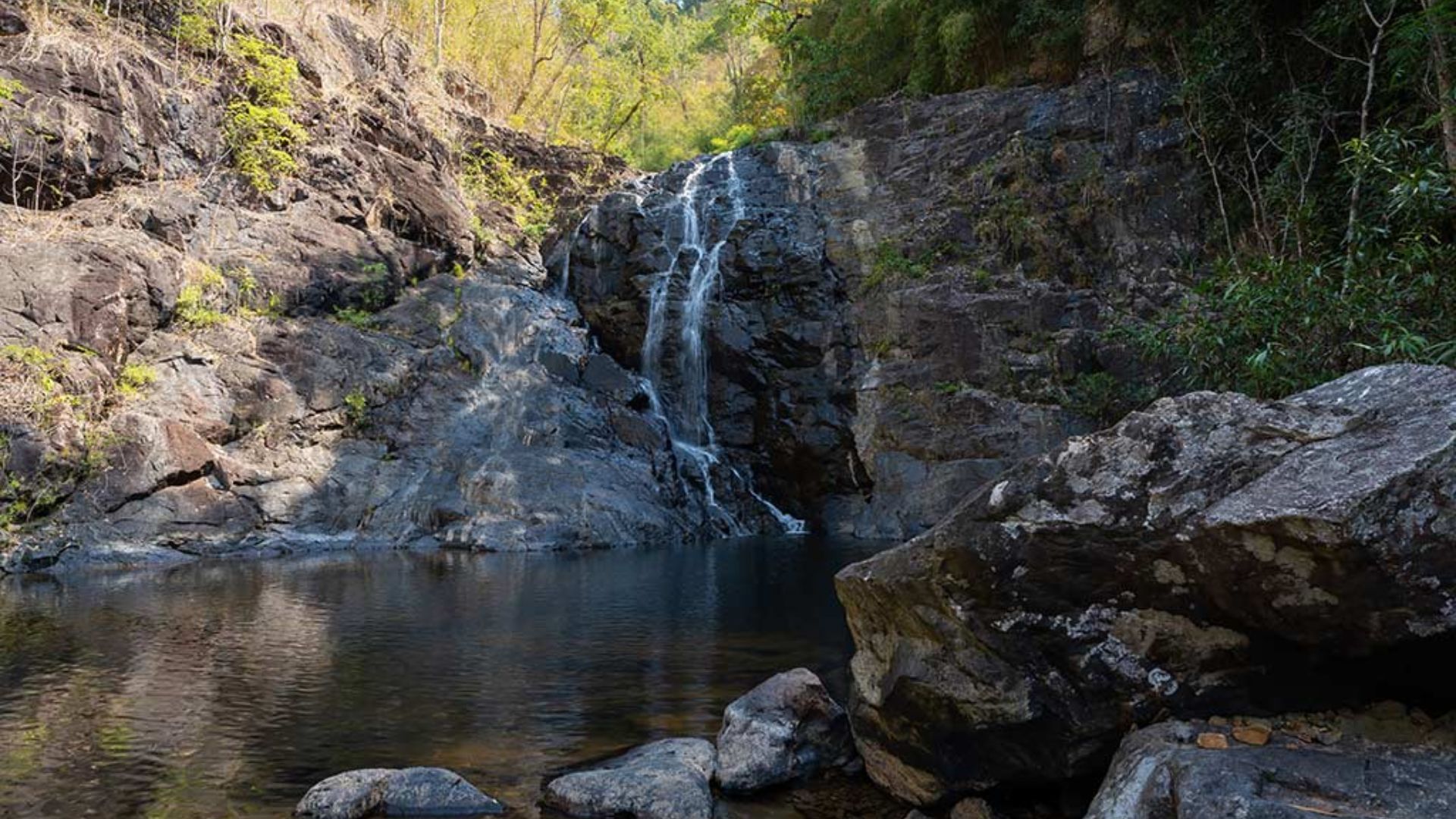 Parc national Virachey
