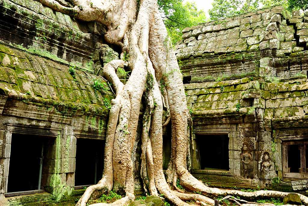 Prasat Ta Prohm