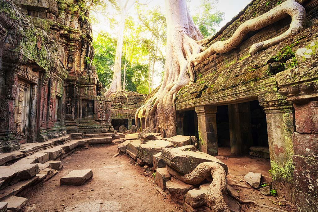 Ta Phrom, Siem Reap Cambodge