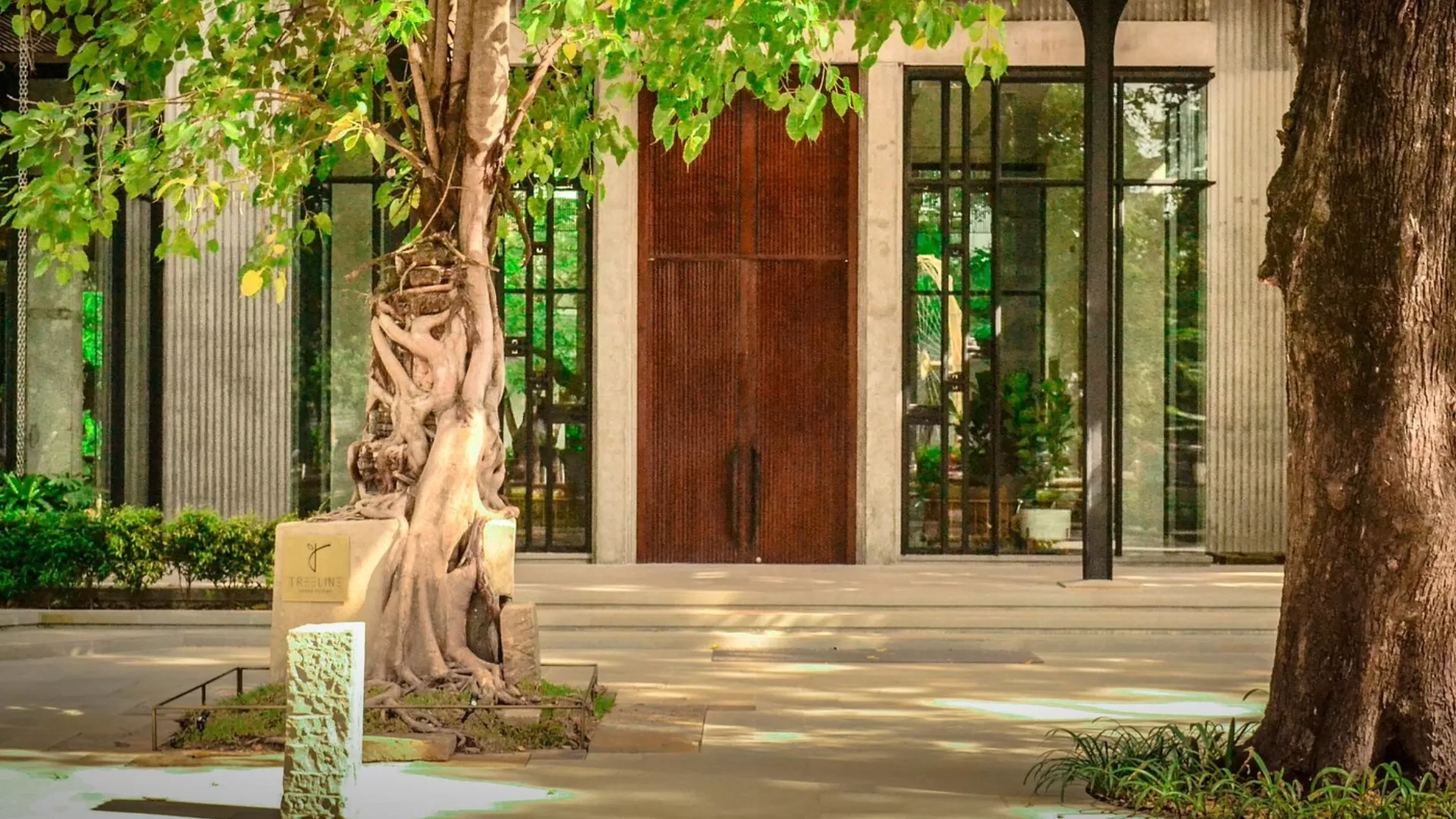 Treeline urban hotel