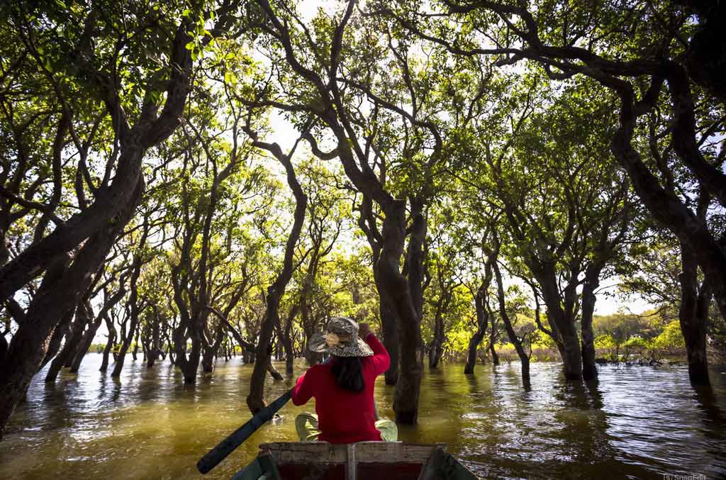 Que faire au lac Tonle Sap