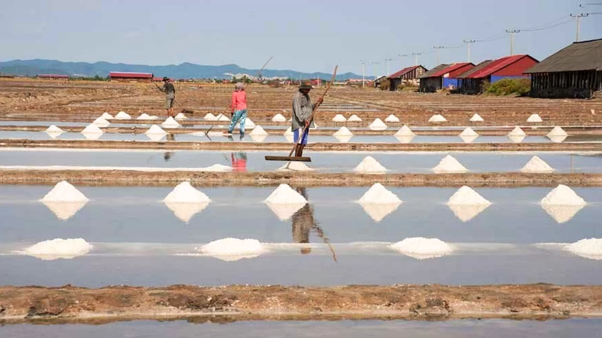 Visit the salt fields