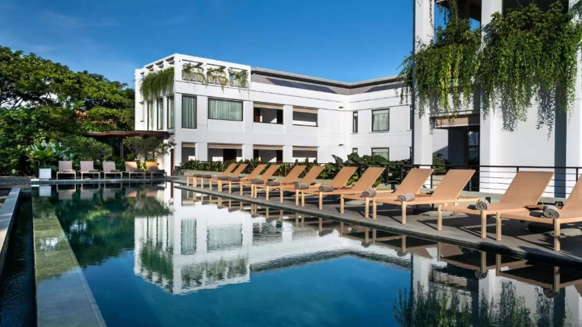 Treeline Urban Hotel