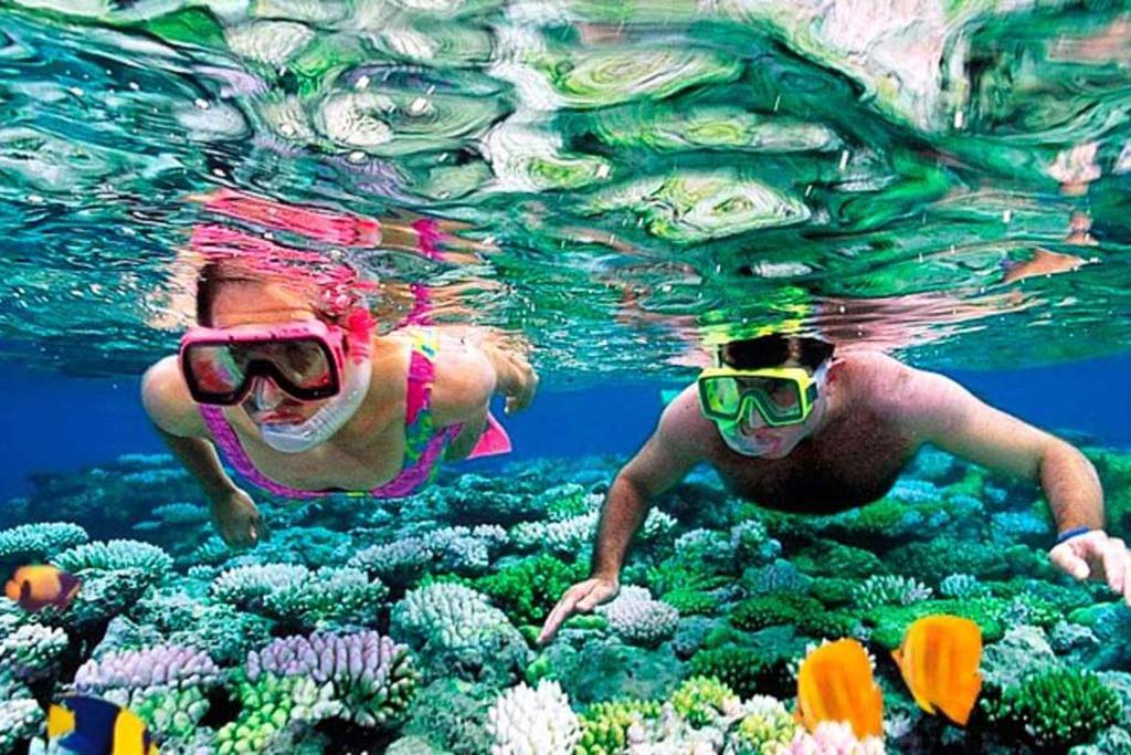 Une journée de snorkeling en mer