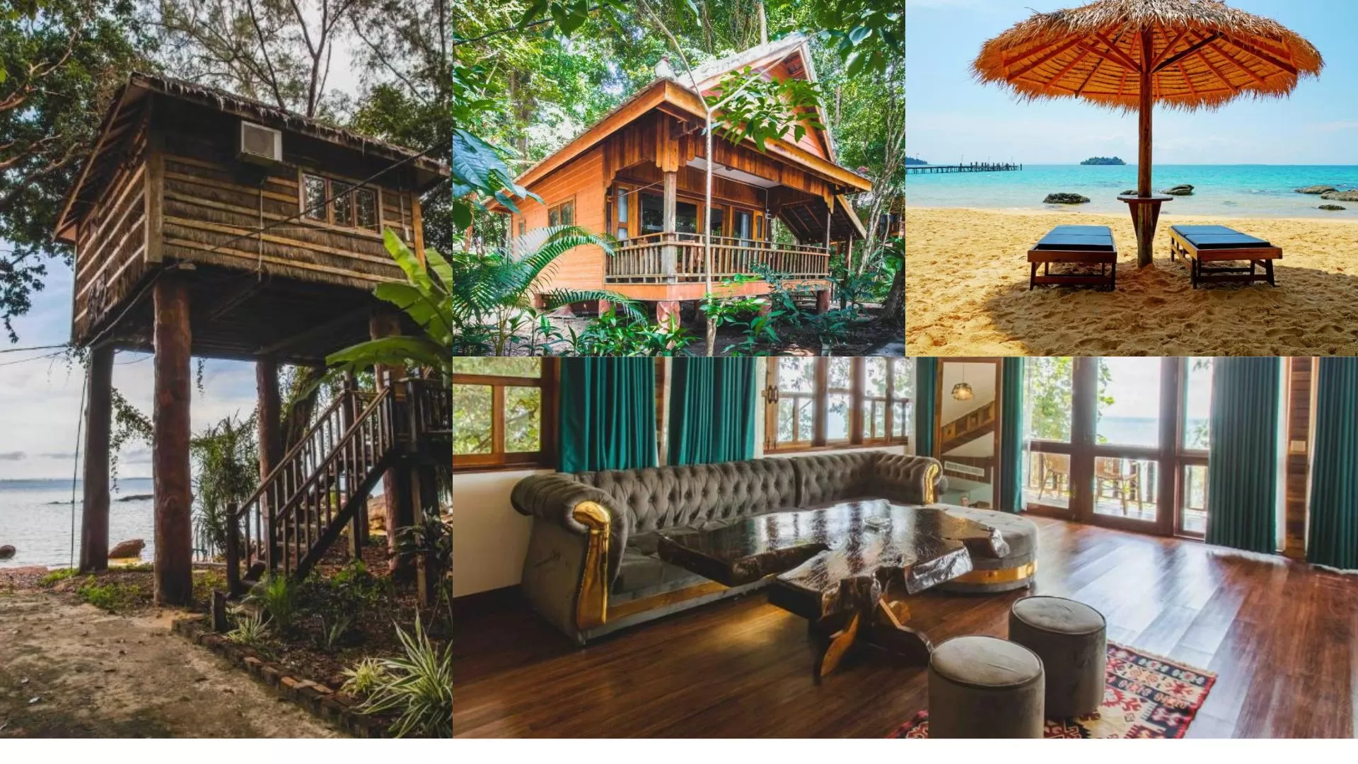 Tree House Bungalows