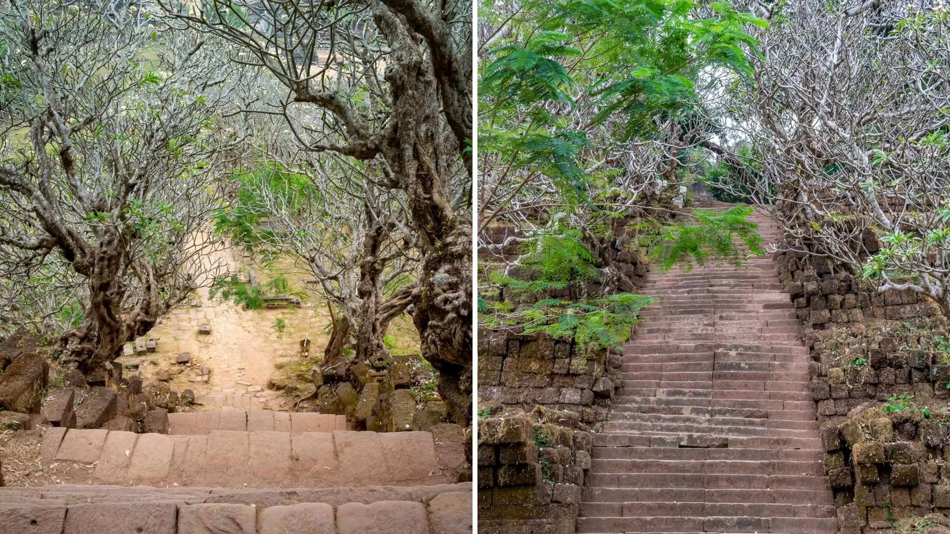 The stone staircase at Wat Phou temple 