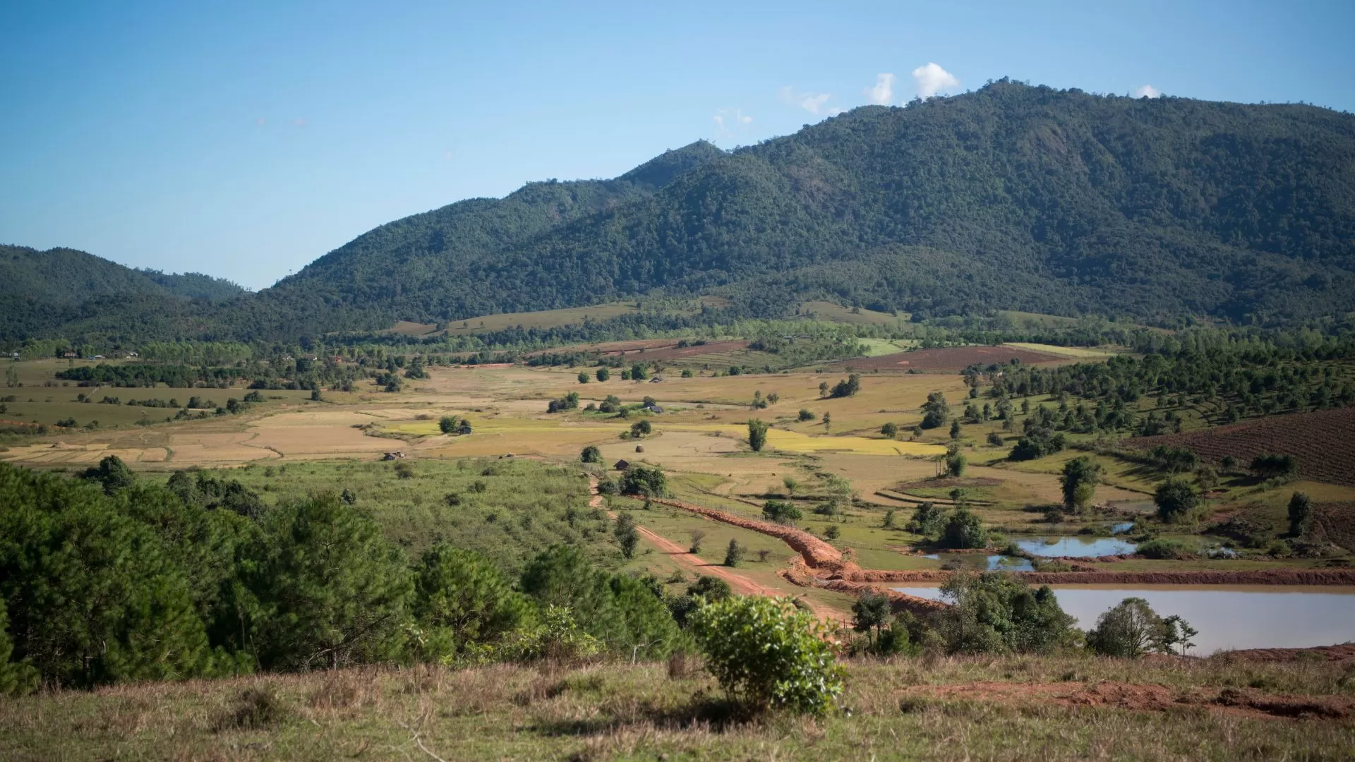 Le paysage verdoyant à Phonsavan