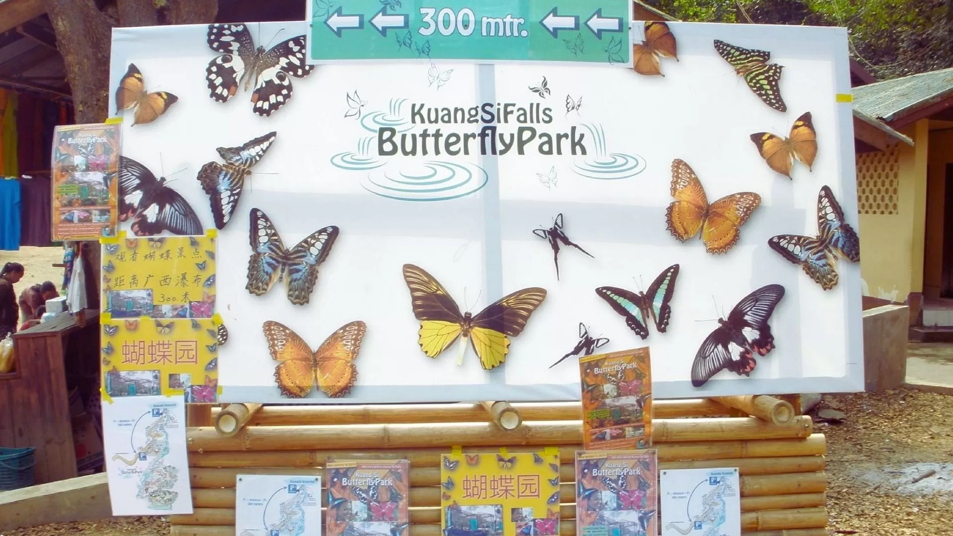 Kuang Si butterfly park