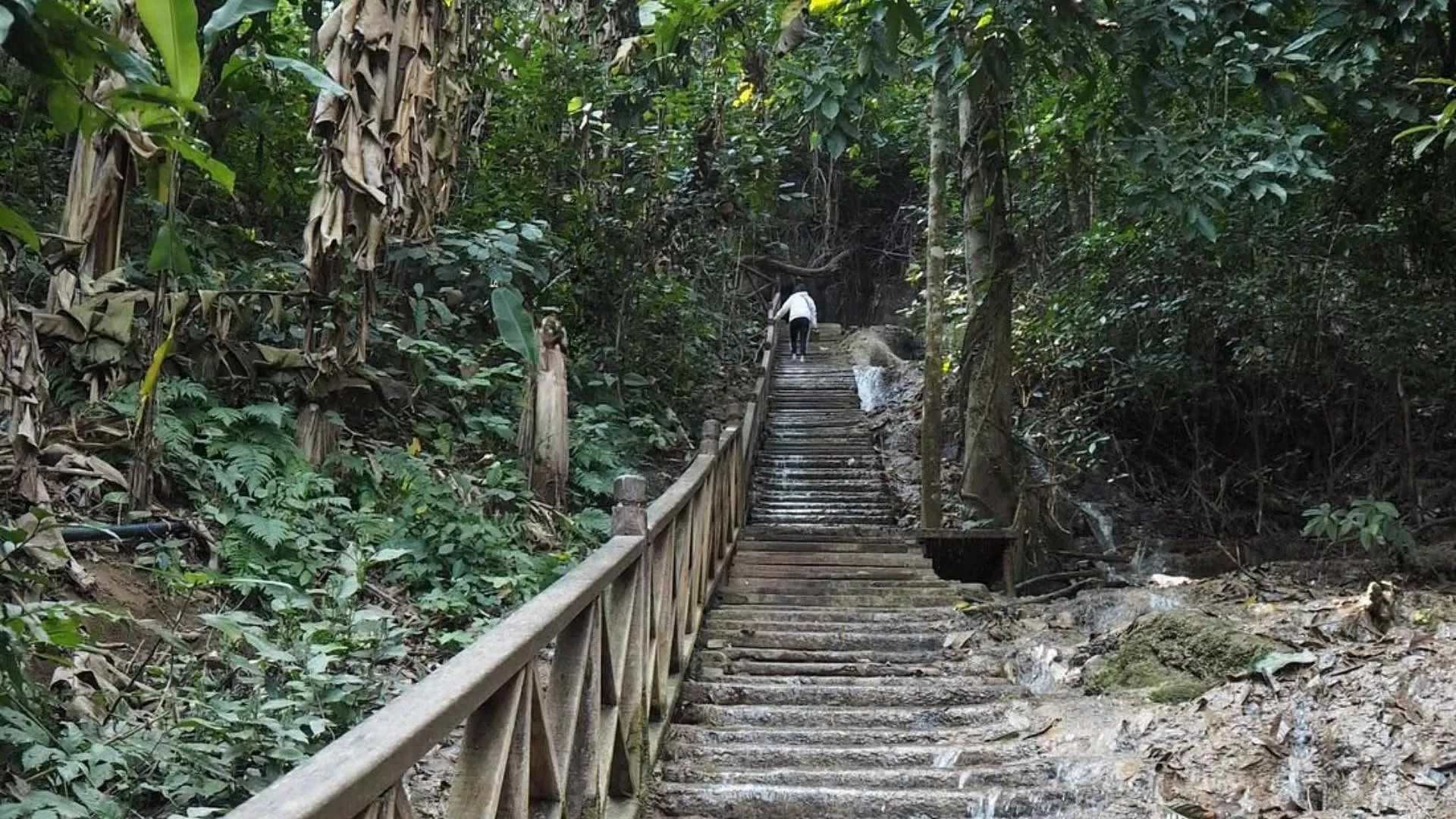 Hike up Kuang Si waterfall