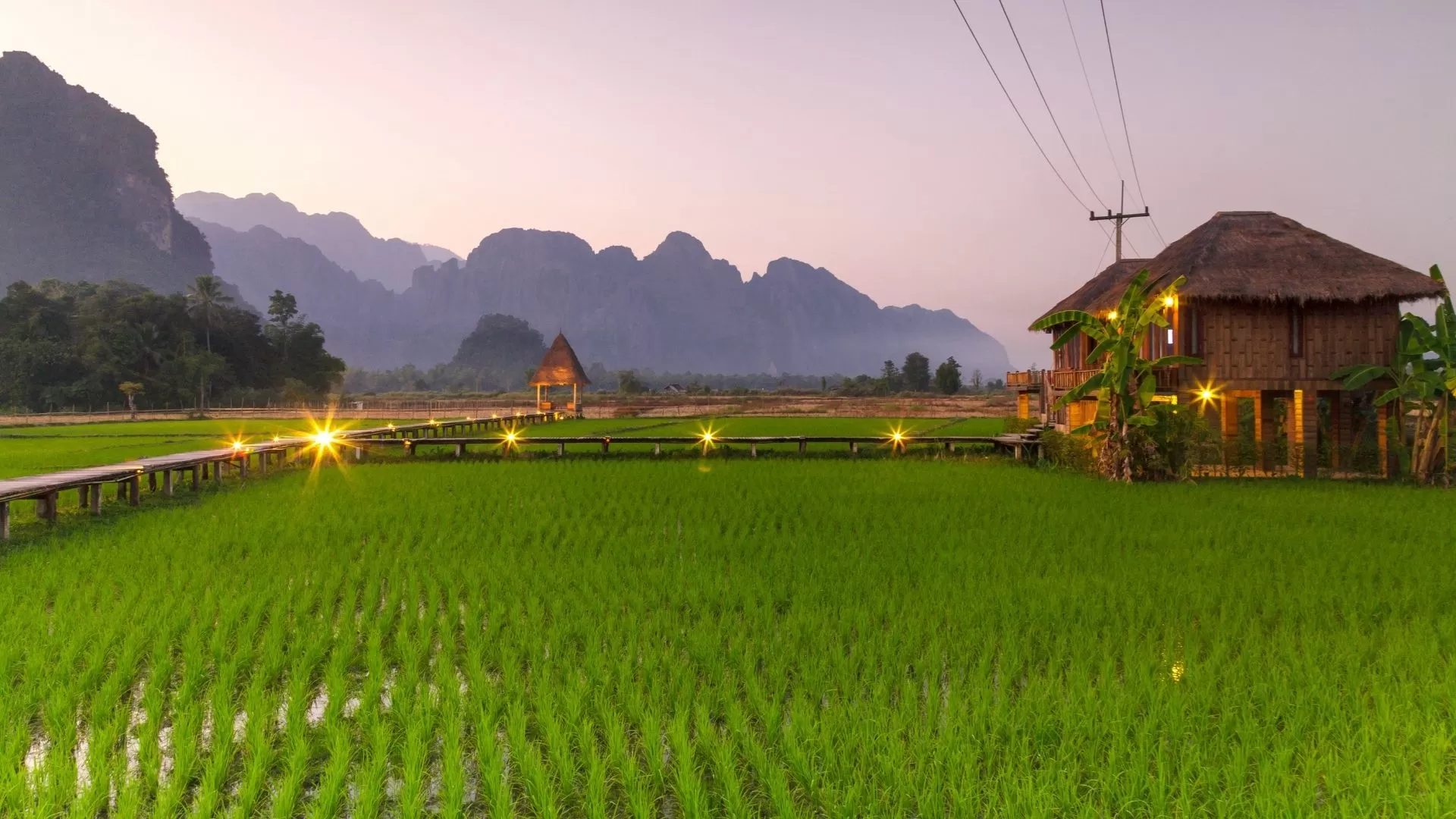 Rice fields in Vang Vieng after the rain
