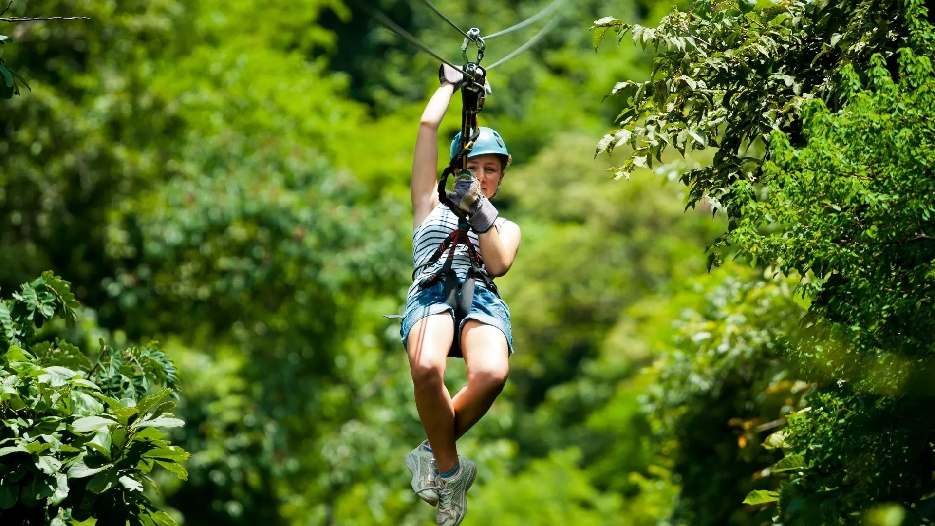 Ziplining in the Bokeo Nature Reserve