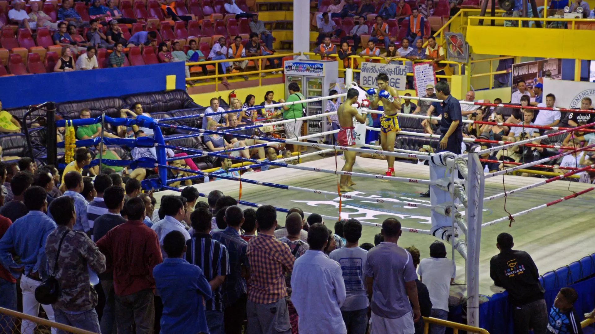 Watch Muay Thai fight