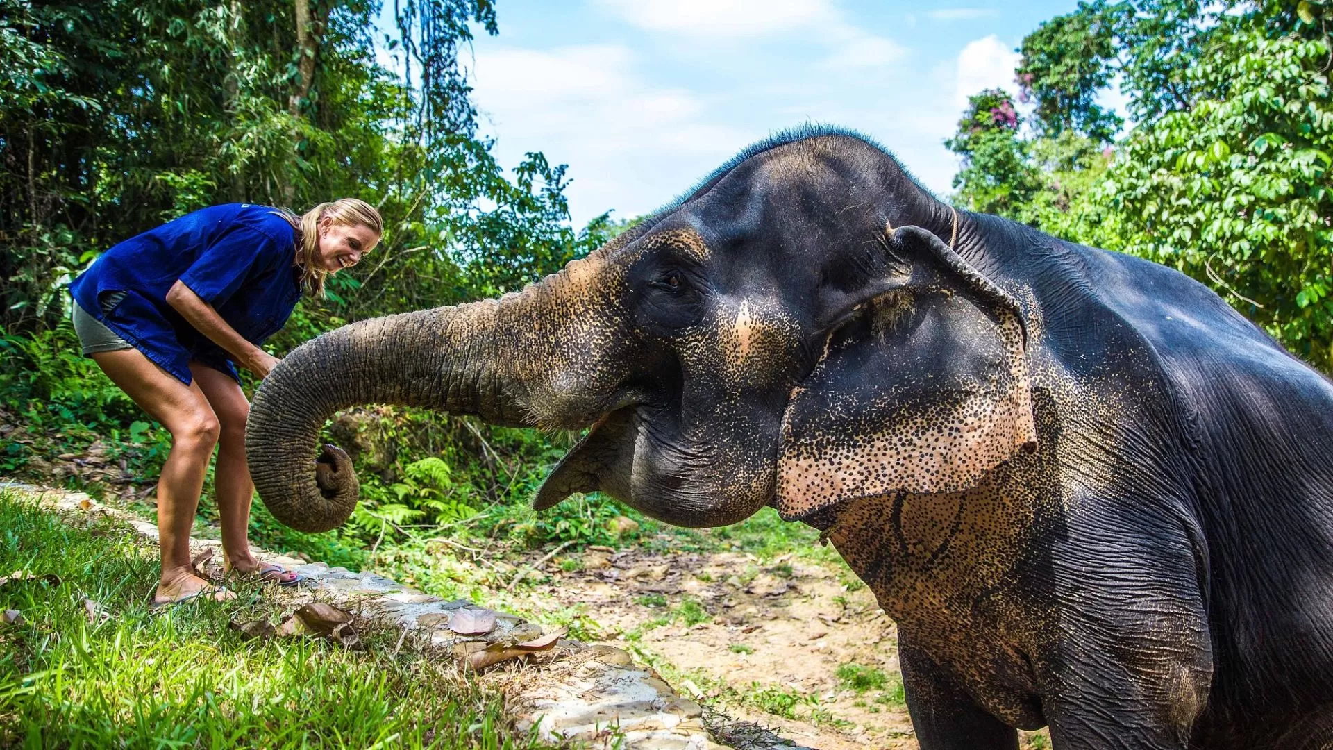 Phang Nga Elephant Park