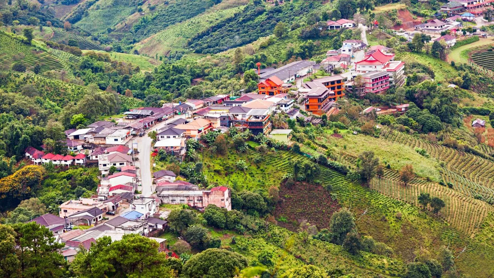 Mae Salong aerial view