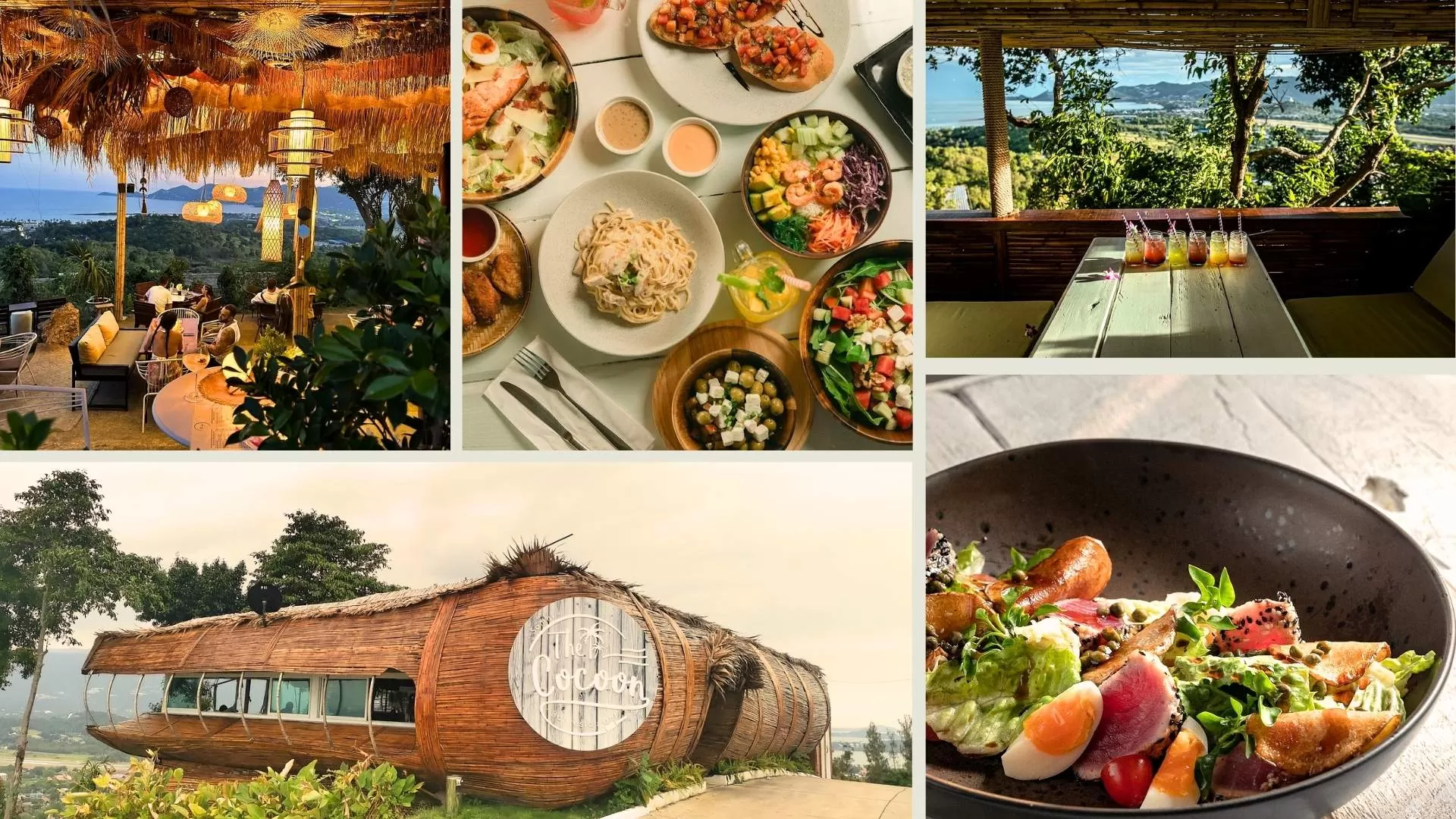 The Cocoon Viewpoint