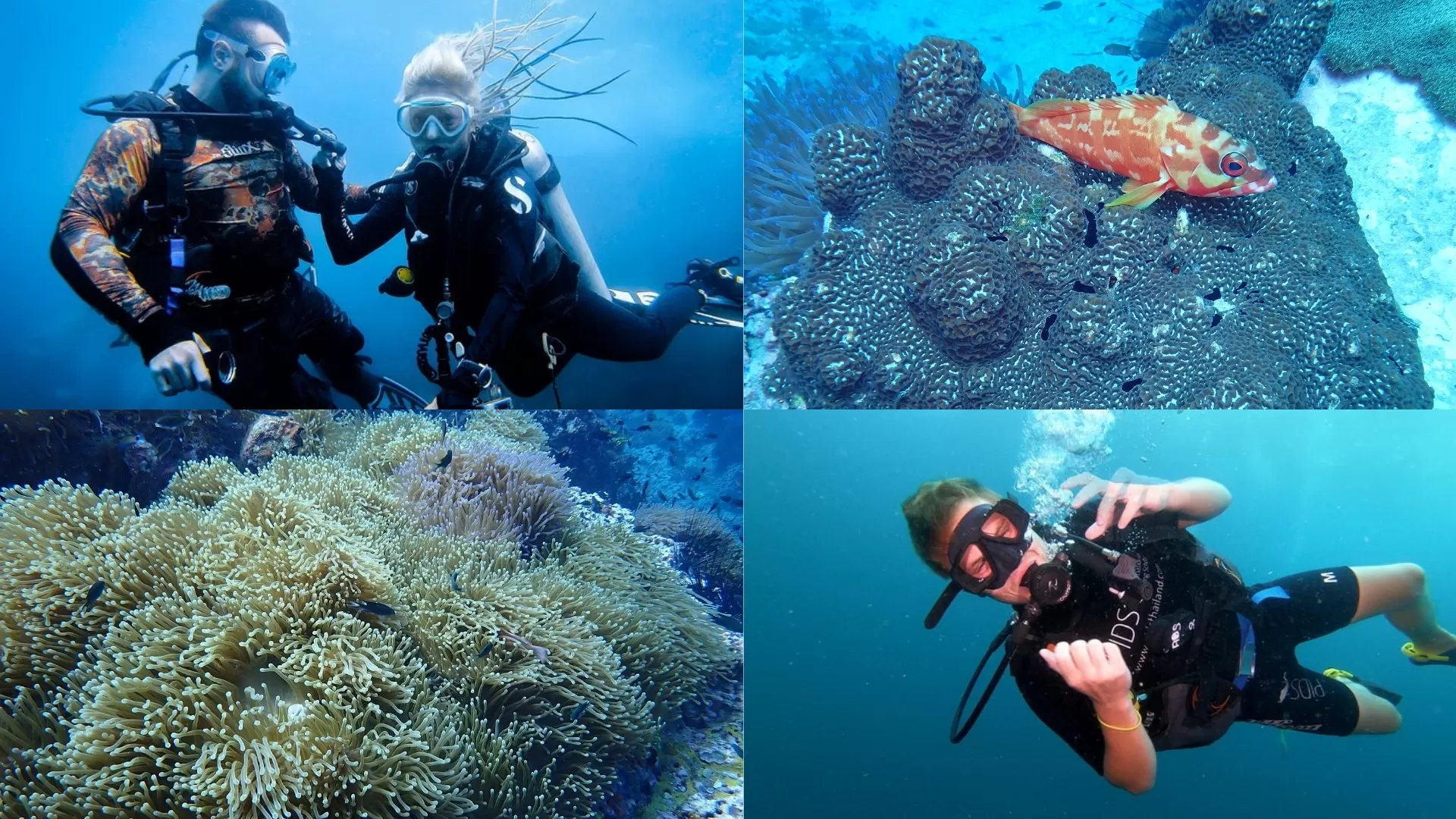 Plongée aux iles thailandaises