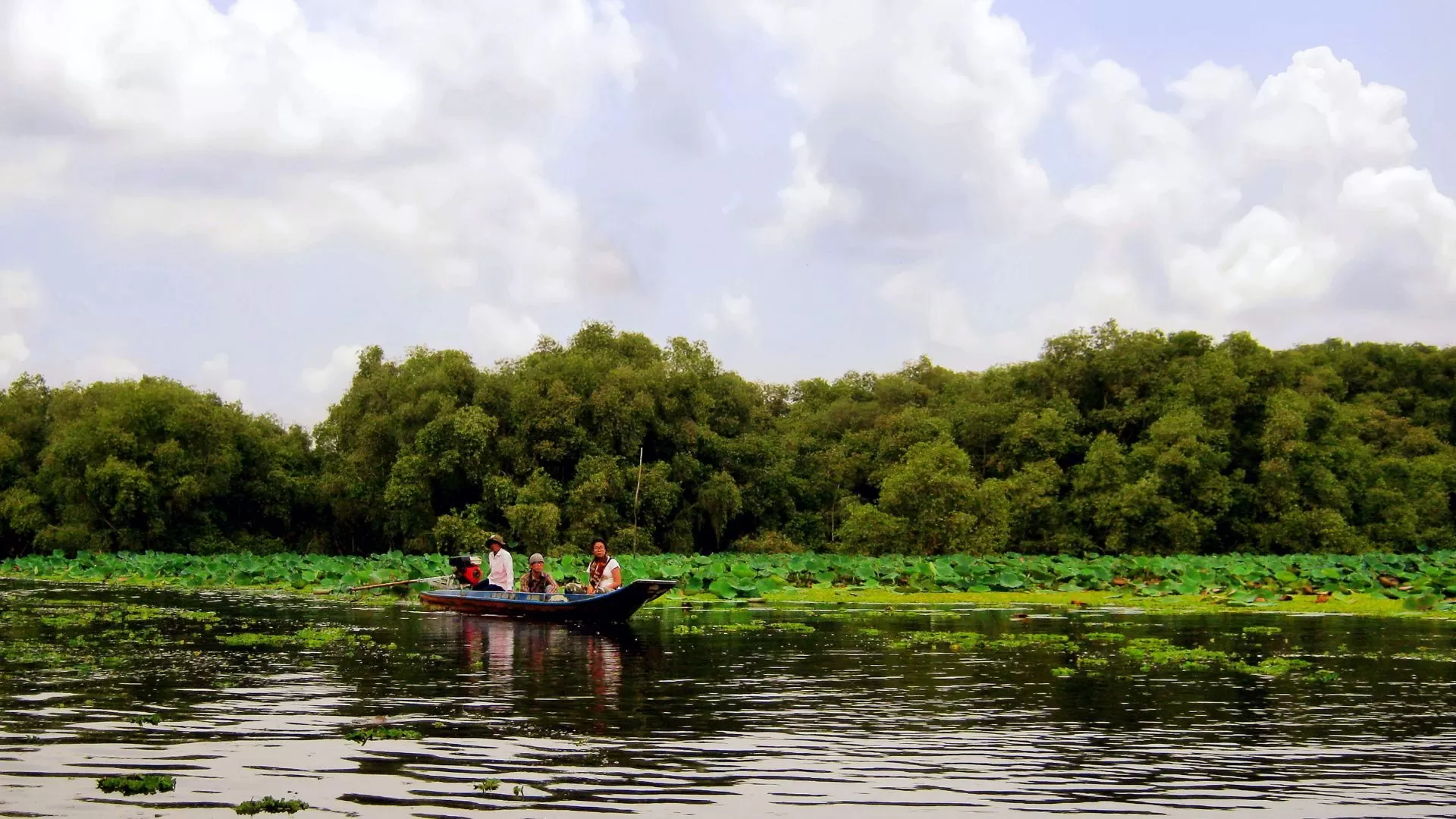 Forêt de cajeputiers de Tra Su