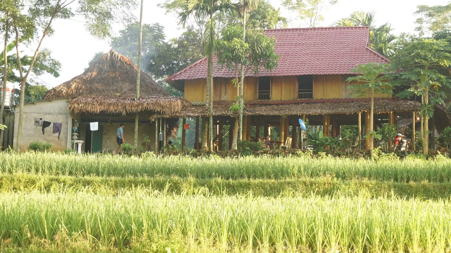 Hoanh Homestay à Pu Luong