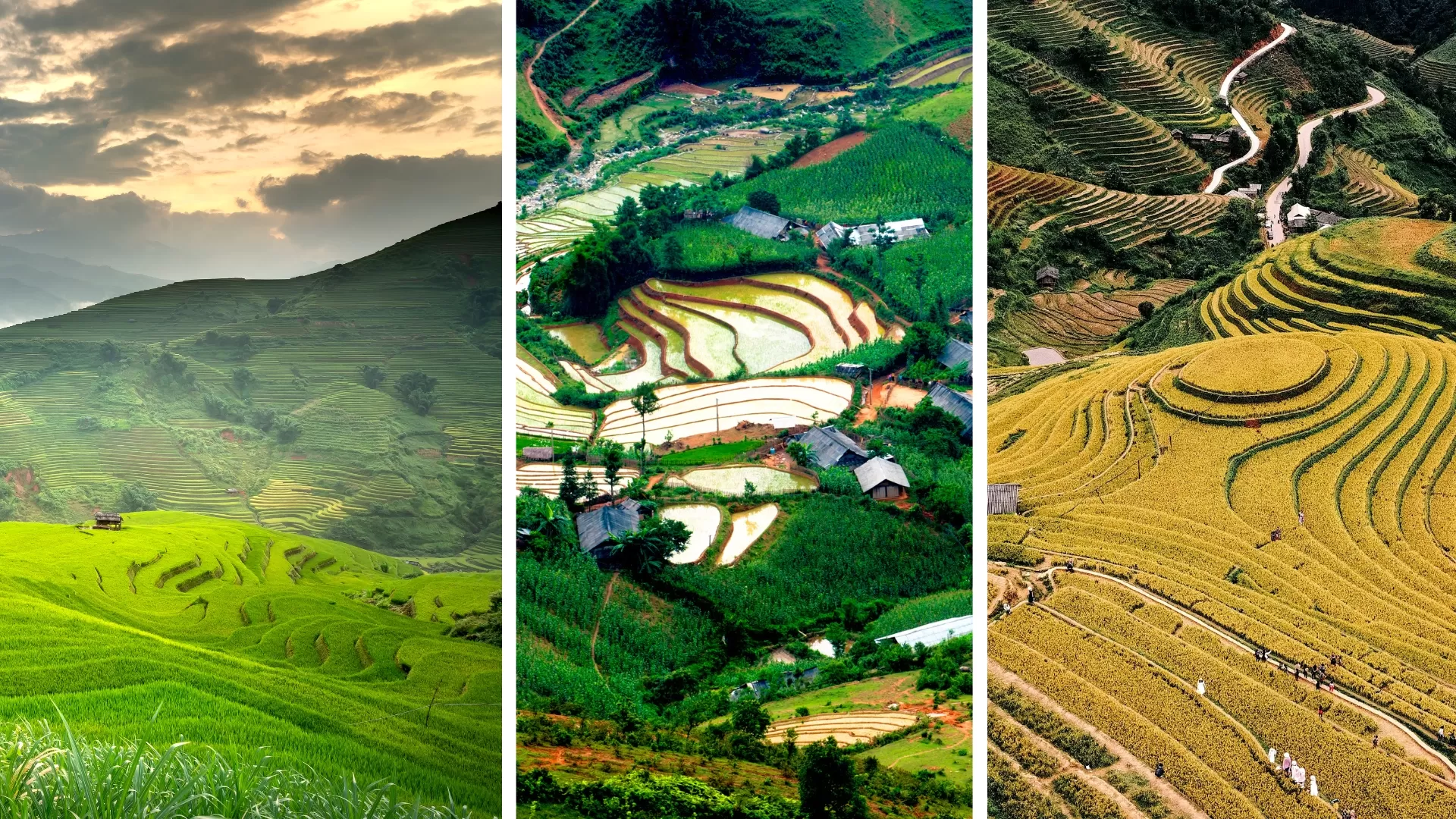 Les meilleures périodes pour découvrir Tu Le