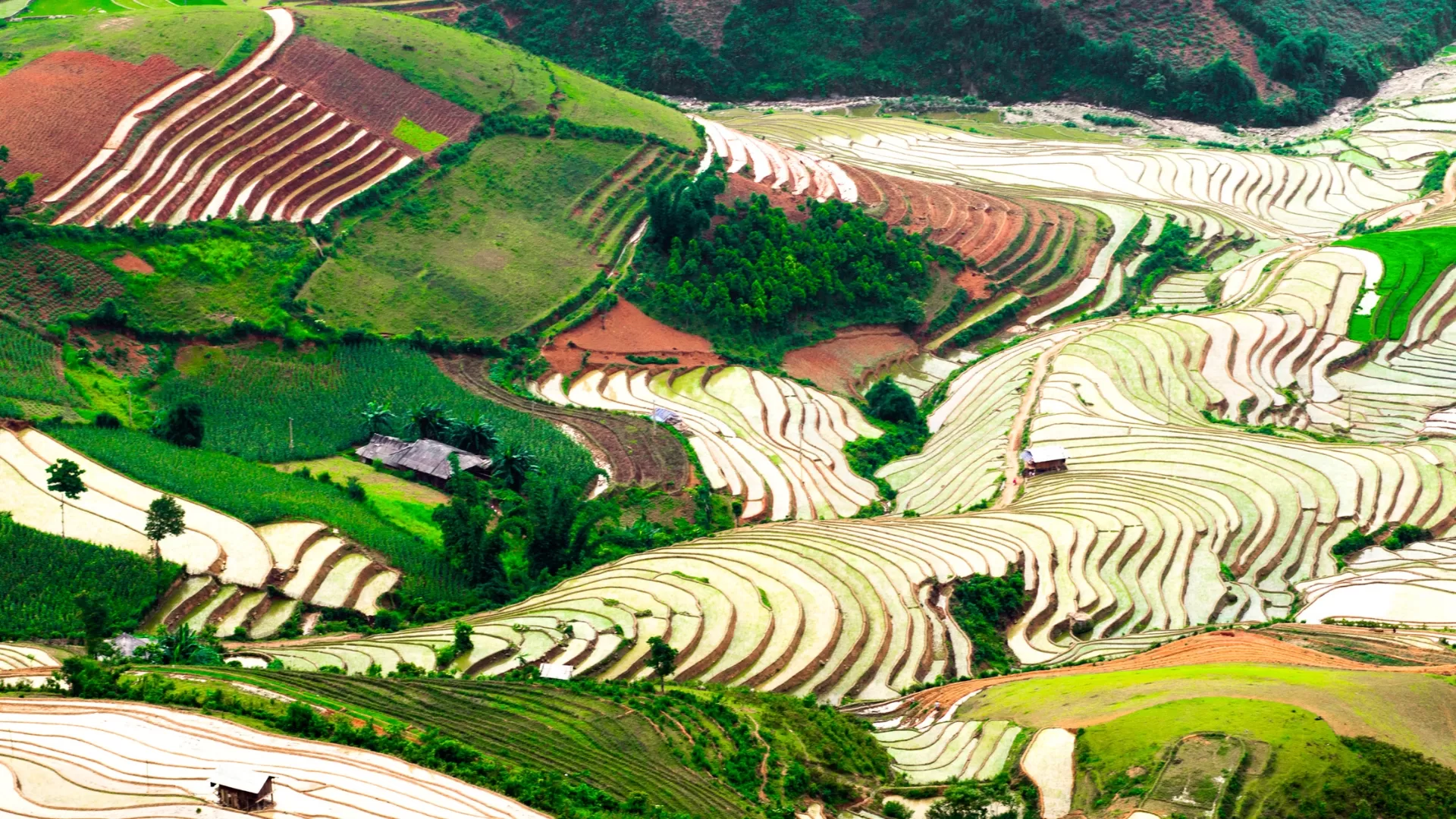Mu Cang Chai