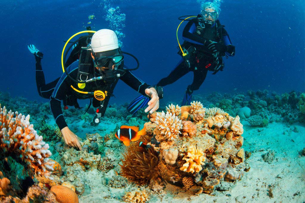 Scuba diving in Nha Trang