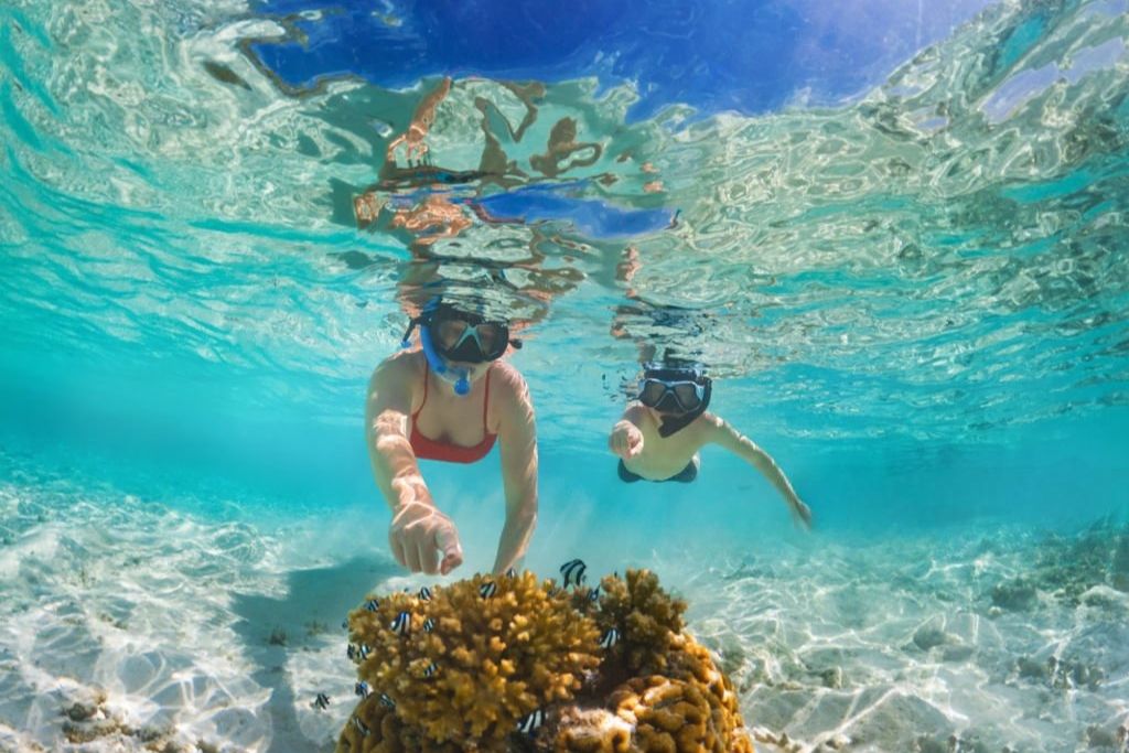 Plongée sous-marine à Phu Quoc : explorez les fonds marins incroyables