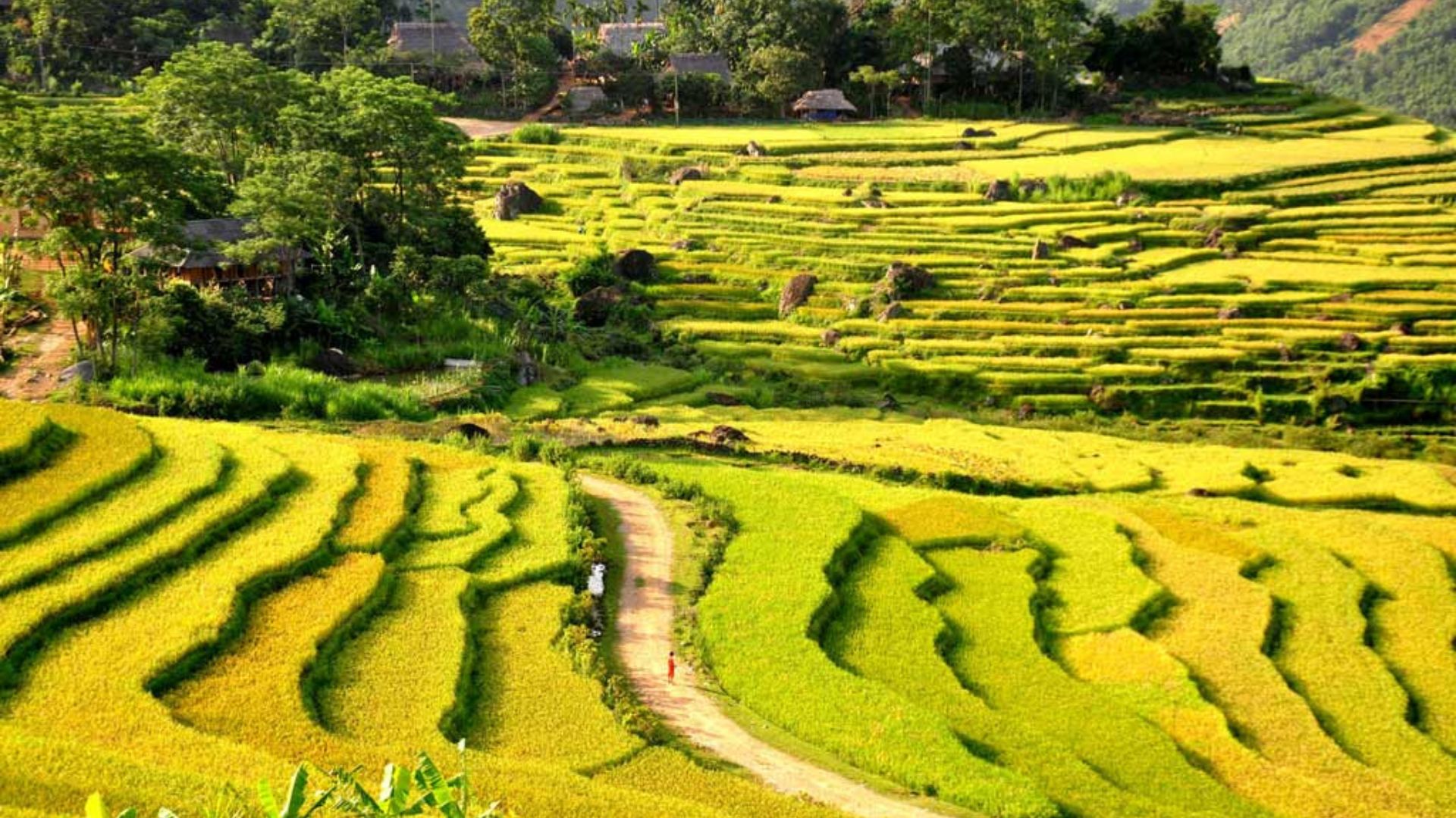 Randonnée et rencontres des minorités à Pu Luong