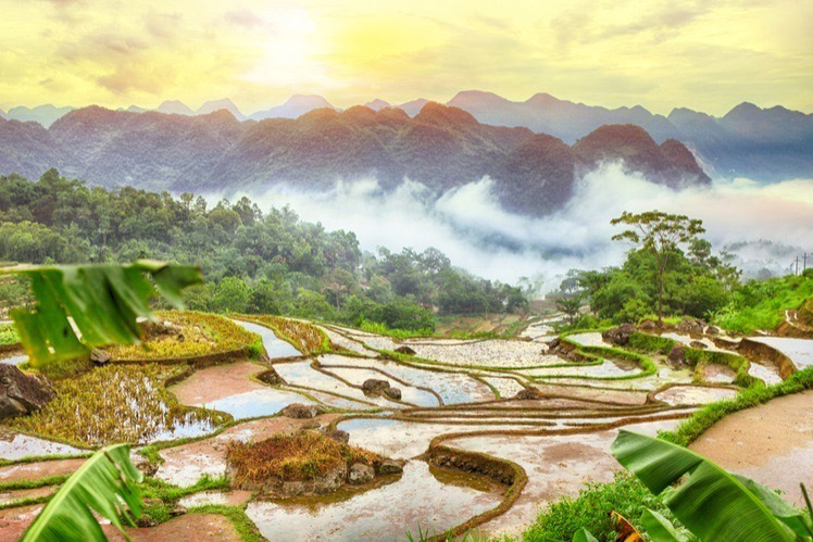 Le paysage naturel paisible de Pu Luong