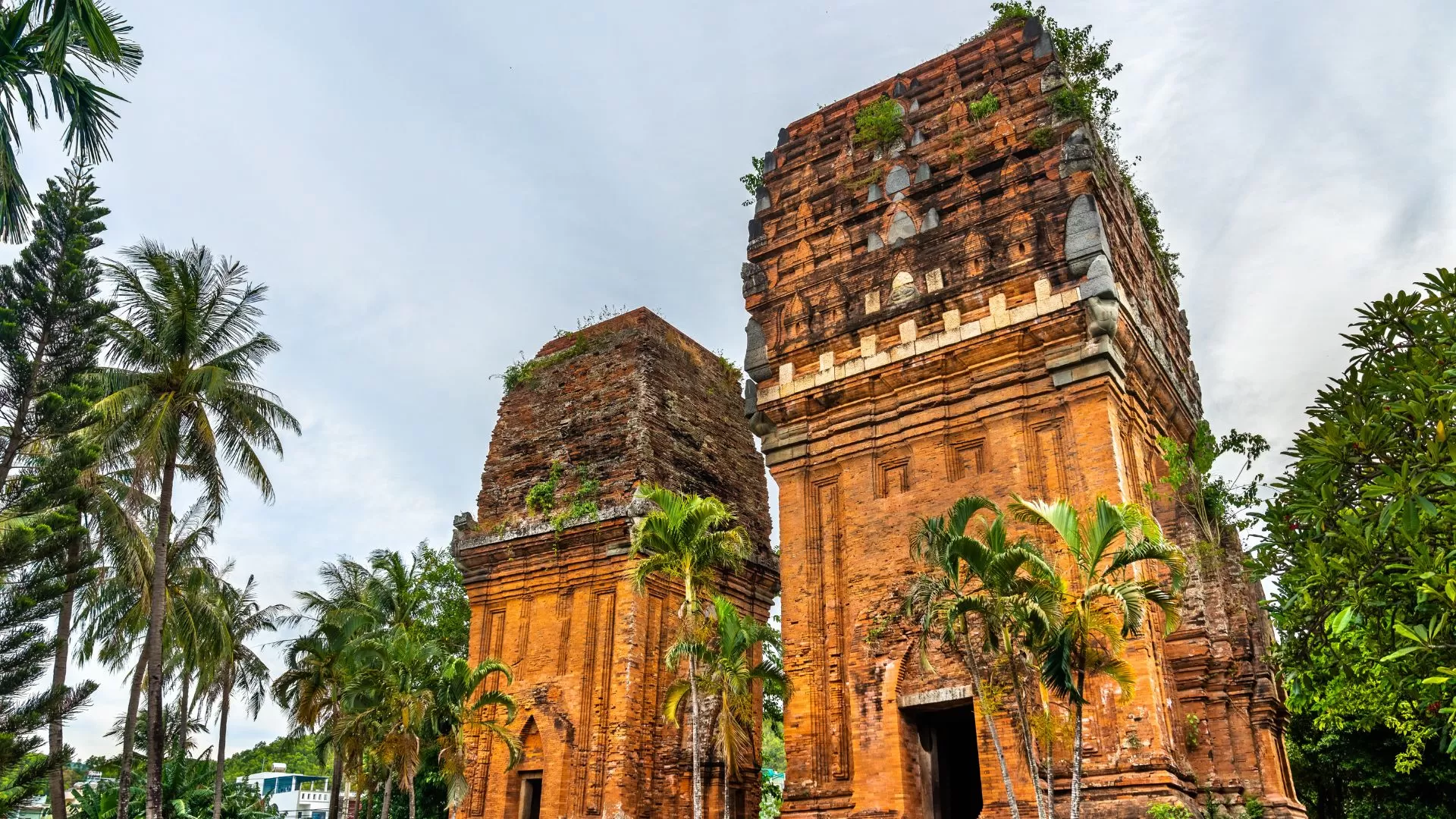 Tours jumelles Cham à Quy Nhon