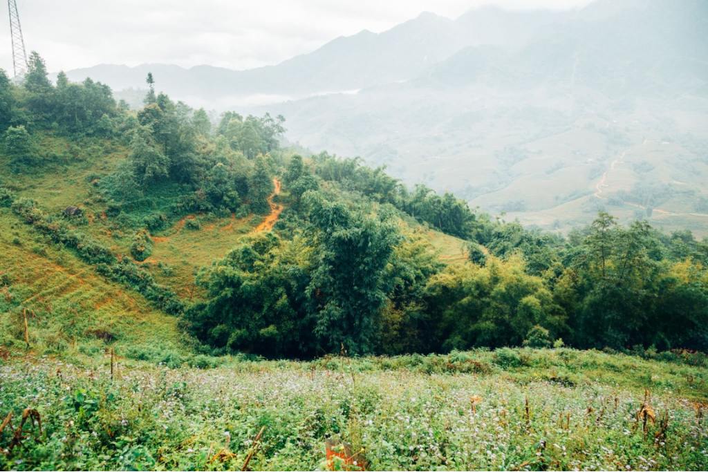 Vallée de Muong Hoa