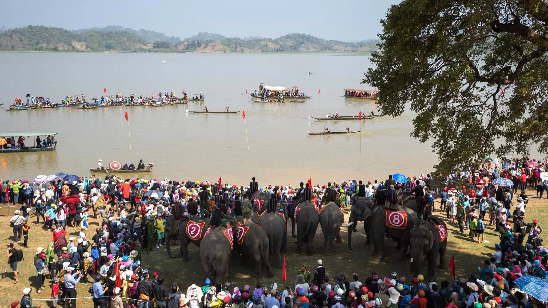 Elephant racing festival in Dak Lak