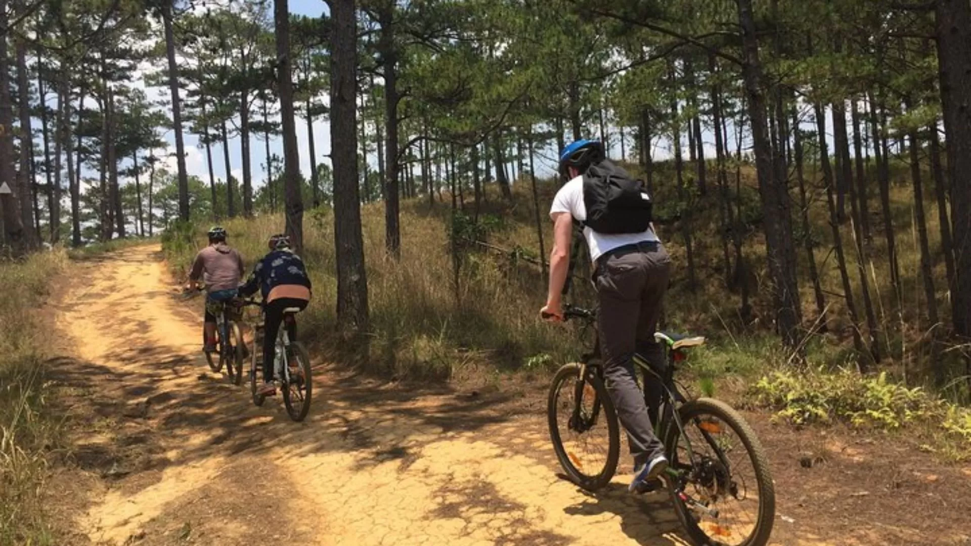 Mountain biking through Da Lat’s pine forests