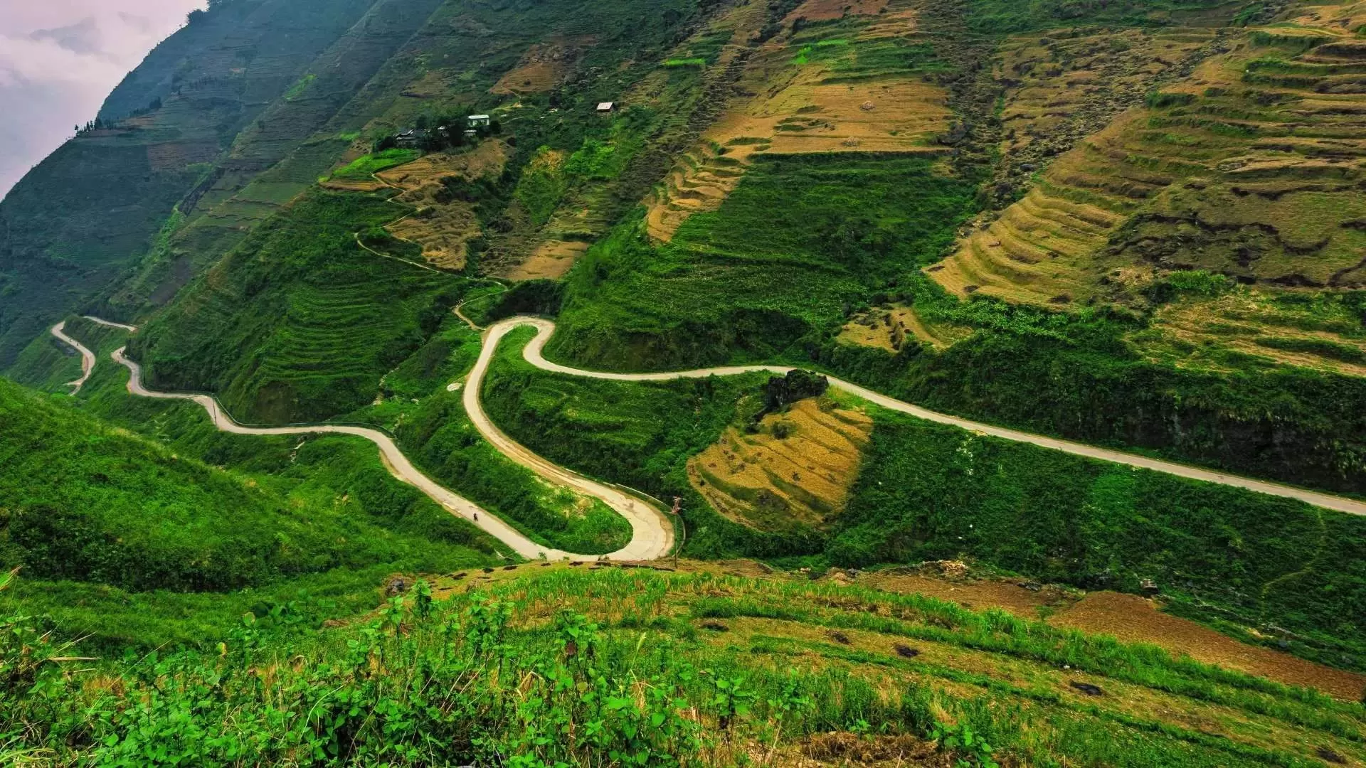 La « boucle de Ha Giang » rend les touristes fous
