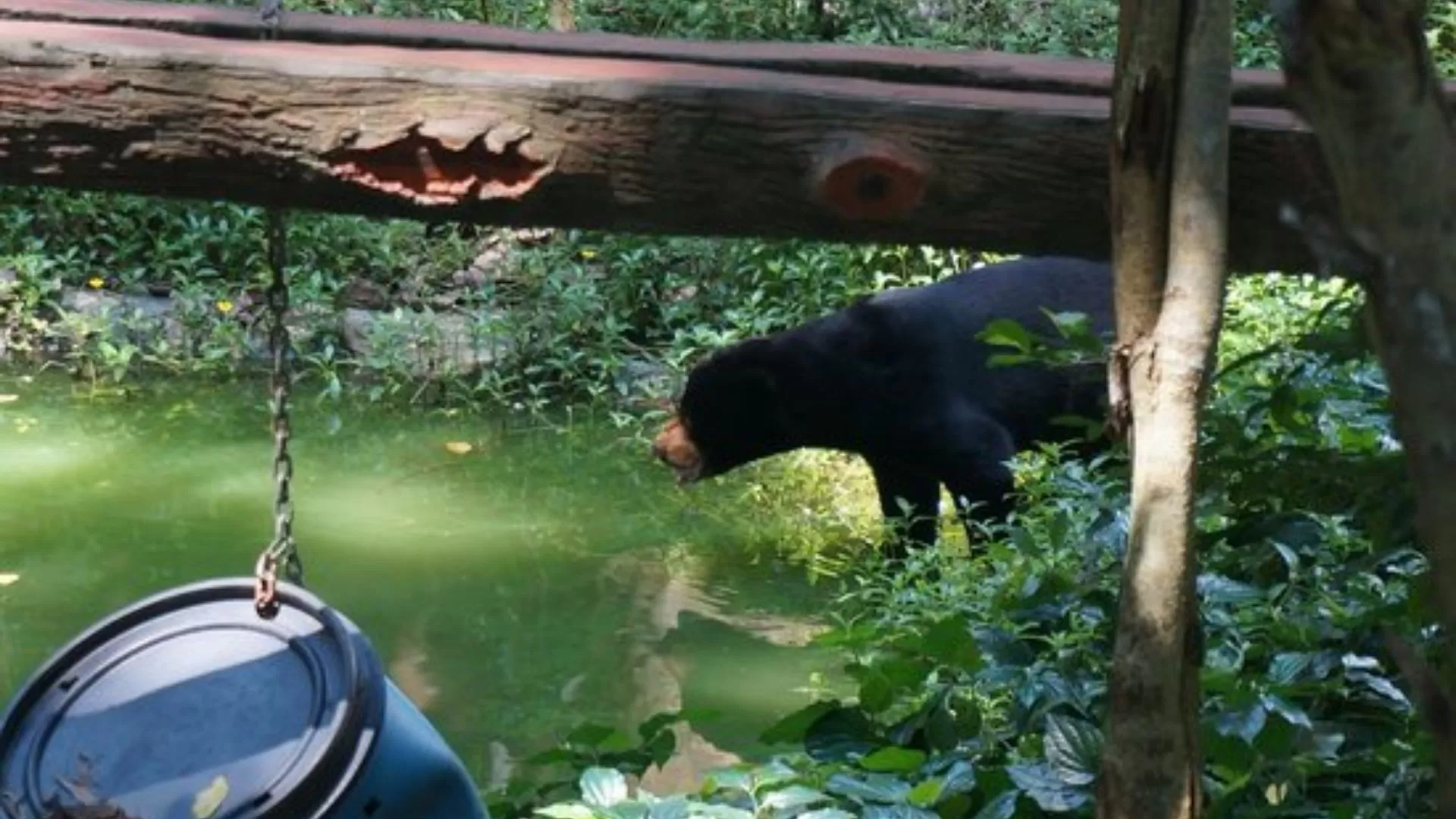 Centre de sauvetage de la faune Cu Chi