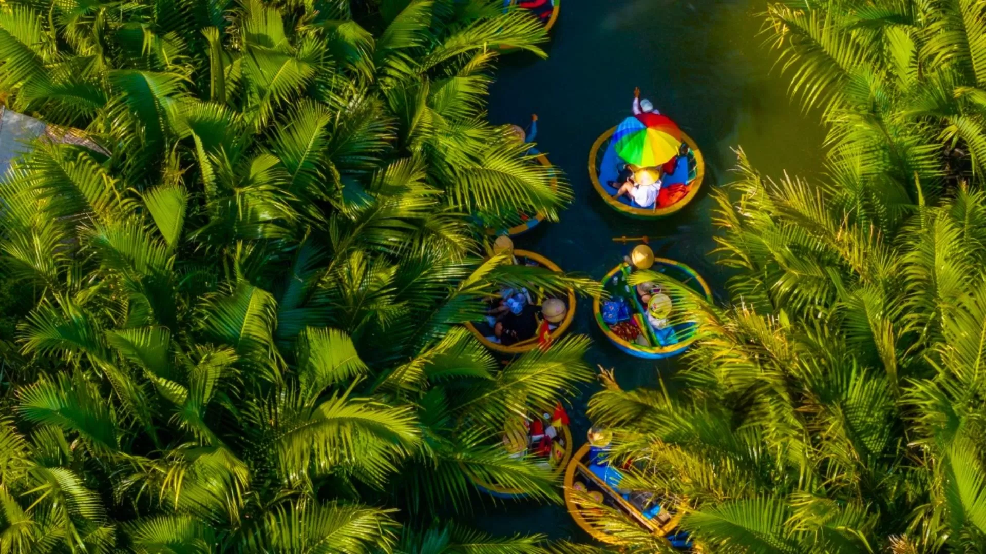 Cam Thanh Coconut Village