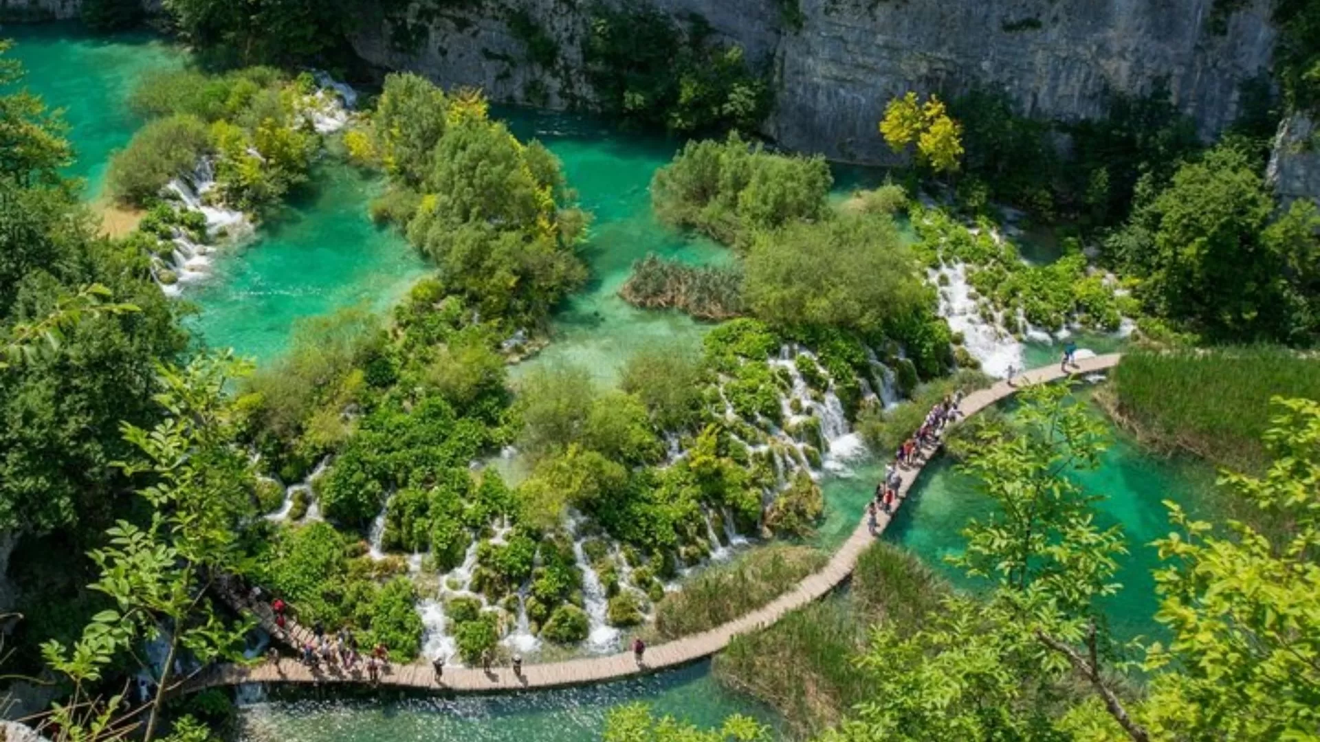 Parc national de Bach Ma