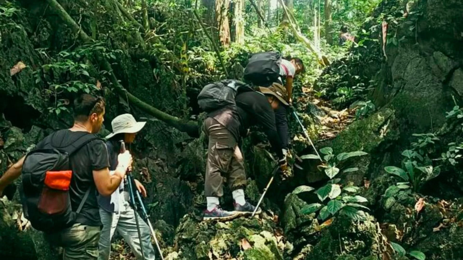 Trekking through Cuc Phuong forest