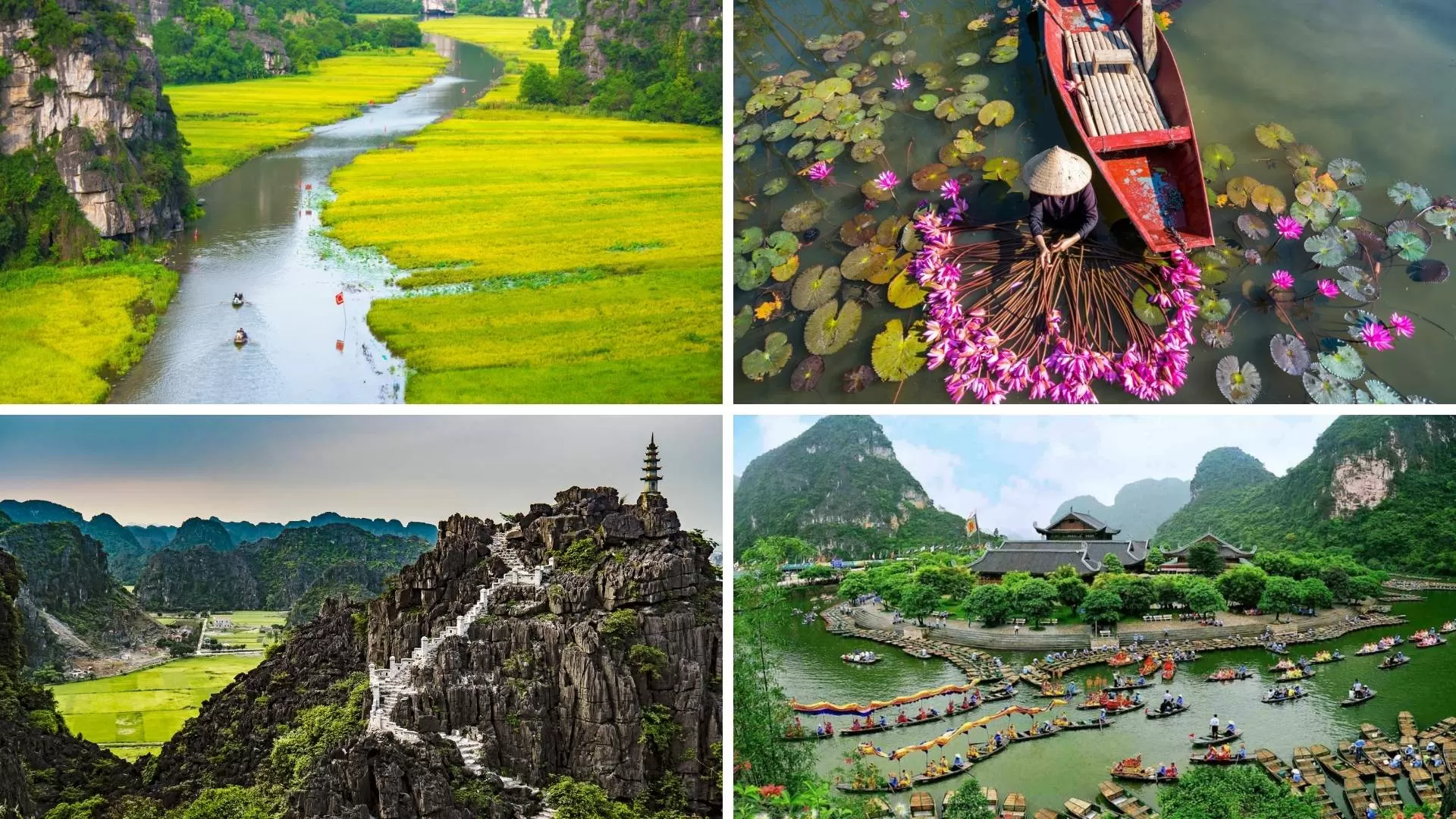 Ninh Binh's attractions for family