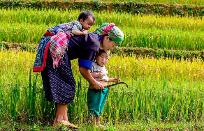 Ethnies du Nord Vietnam famille dans les rizières
