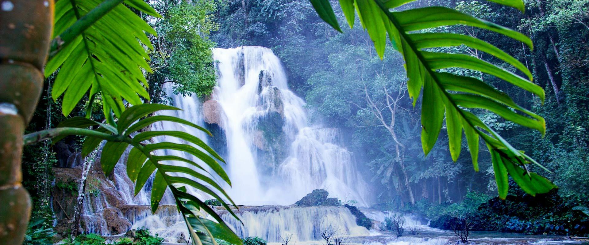 cascades dans la jungle Laos